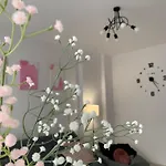 Loco